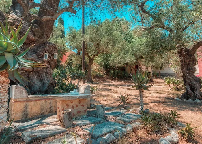 El Paradiso