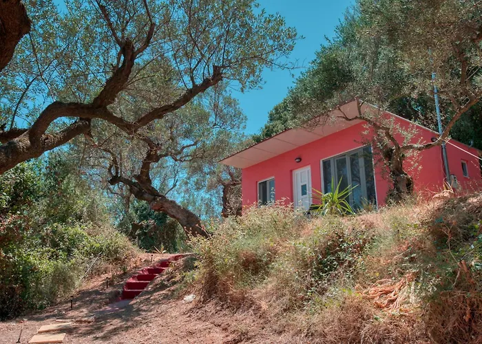 El Paradiso
