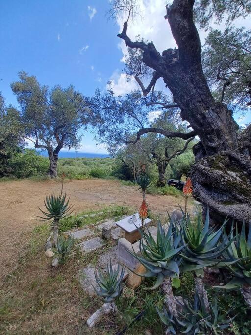 Holiday home El Paradiso *