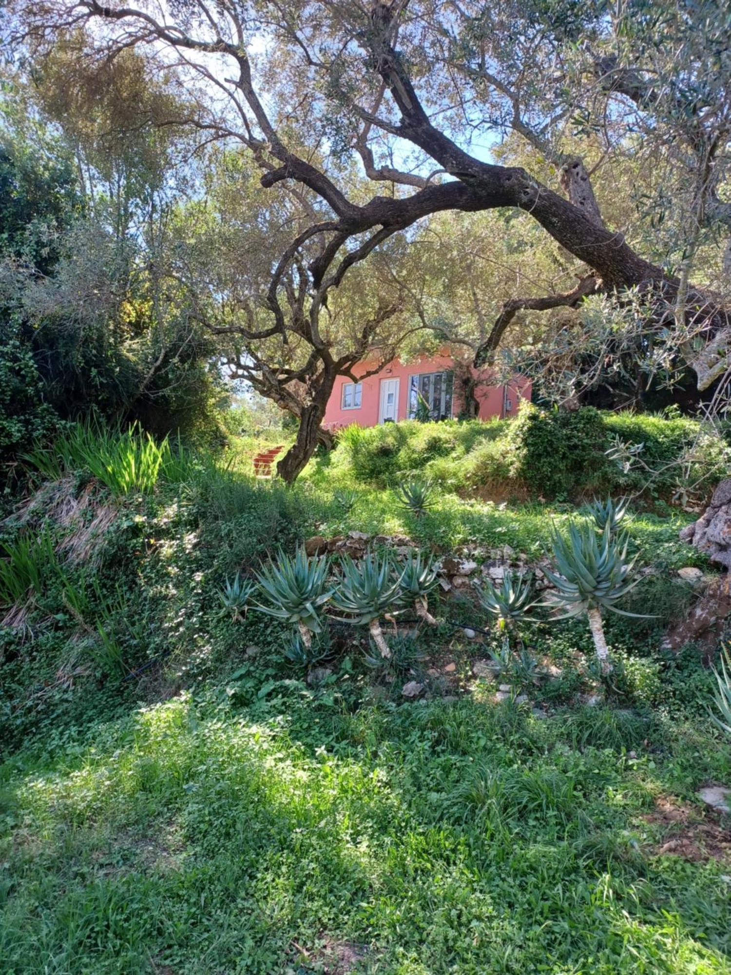 El Paradiso Holiday home