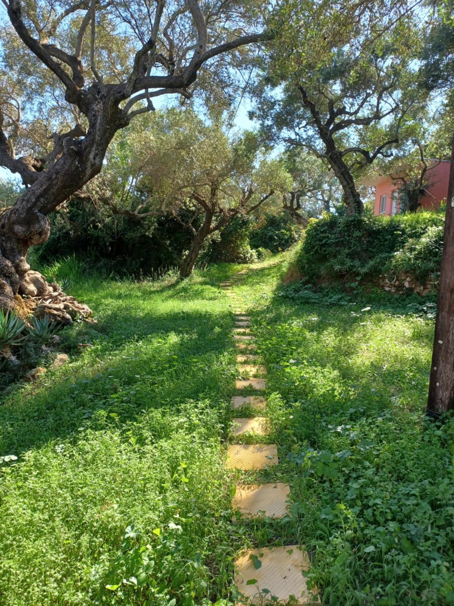 El Paradiso