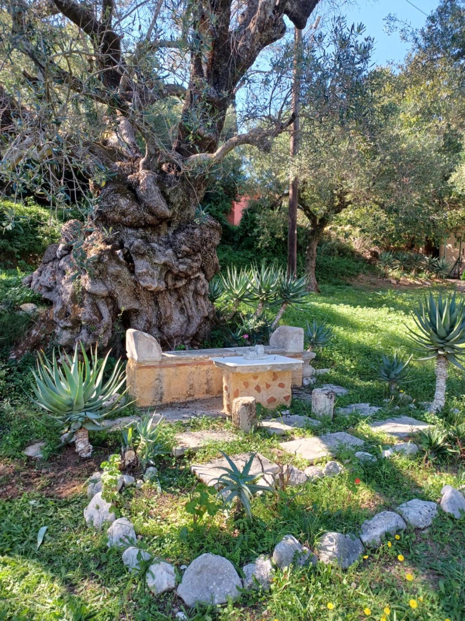 El Paradiso Holiday home